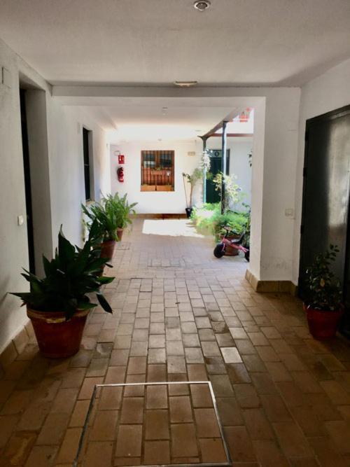 La Terraza Azul Apartment Seville Exterior photo